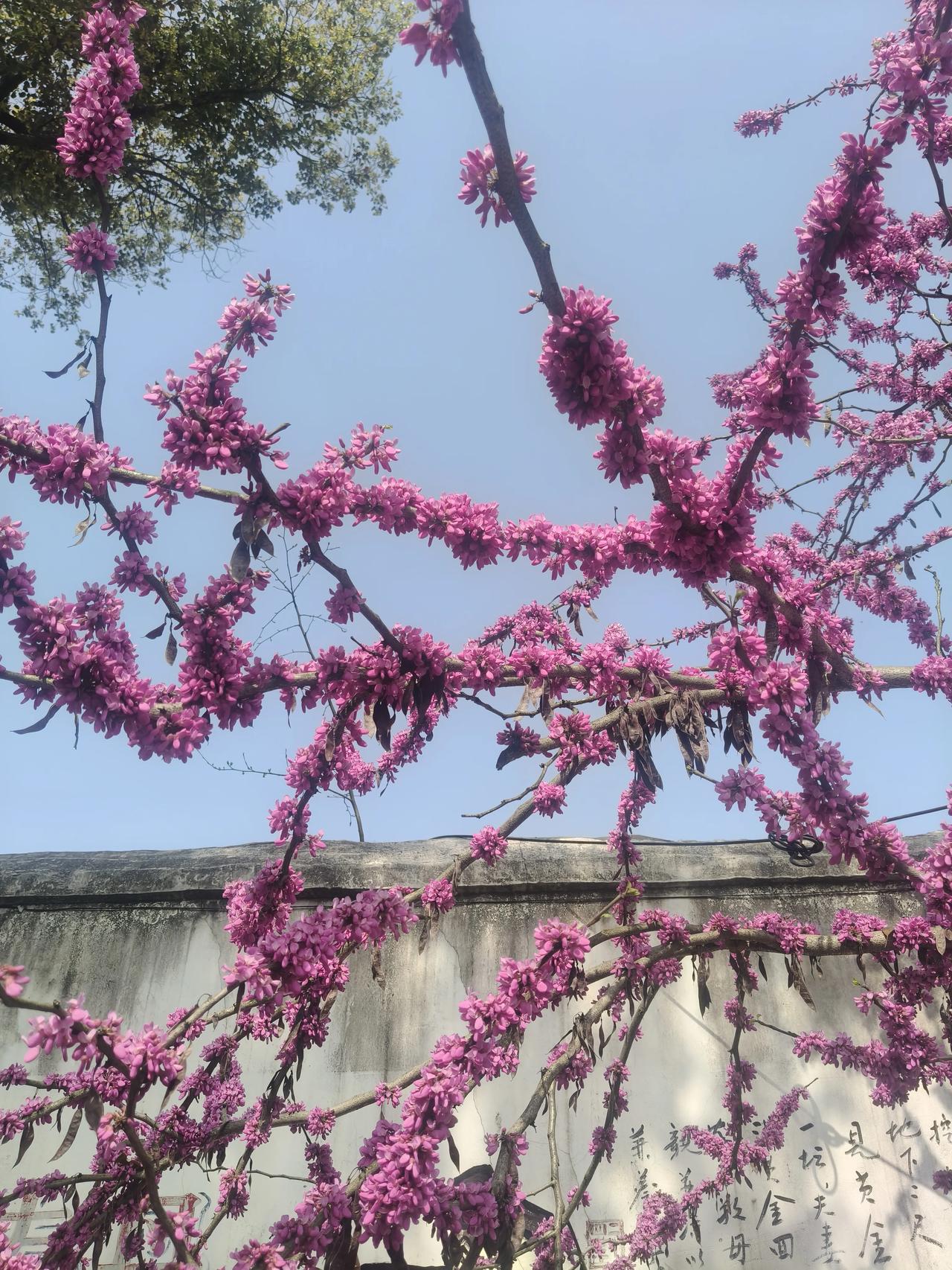 人生低谷时，
别找人倾诉，
别胡思乱想，
别盲目折腾。
你只需要安安静静做好一件