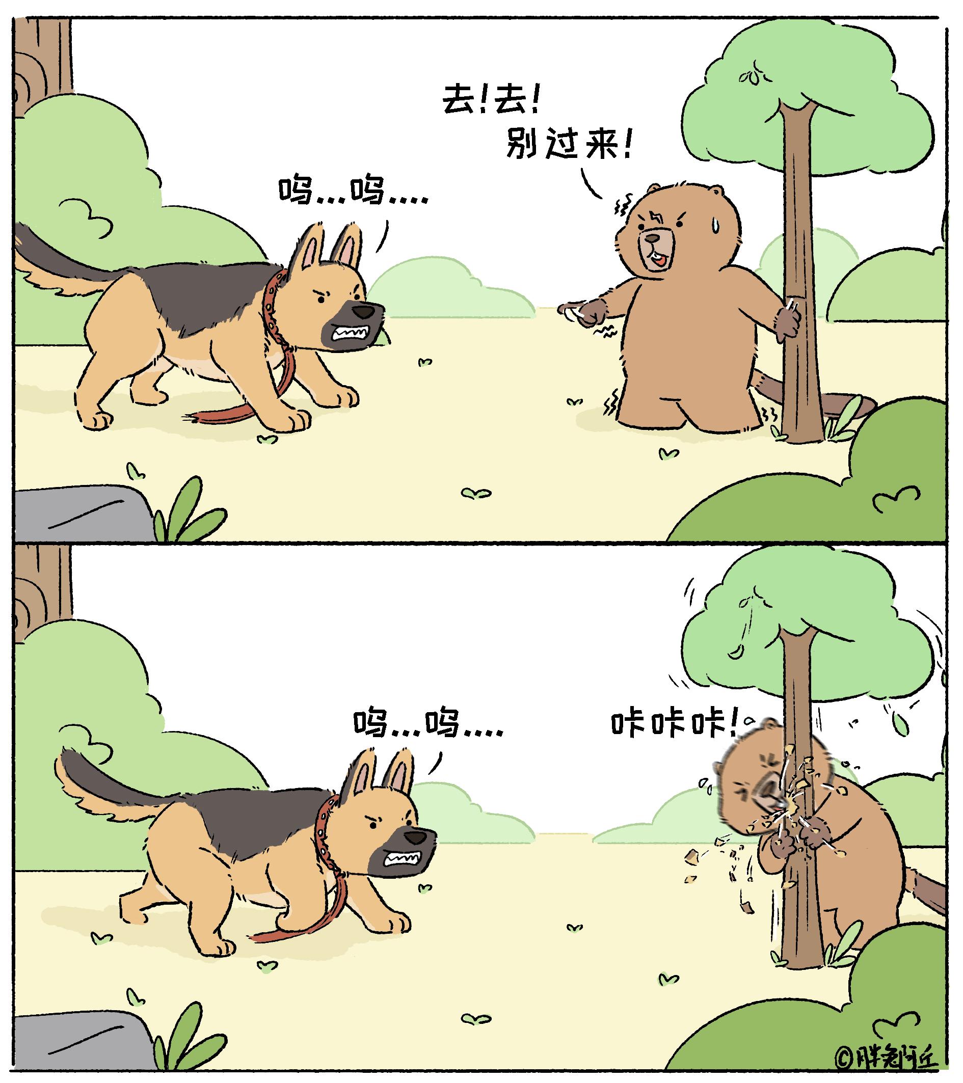 书里的河狸哥小日常。