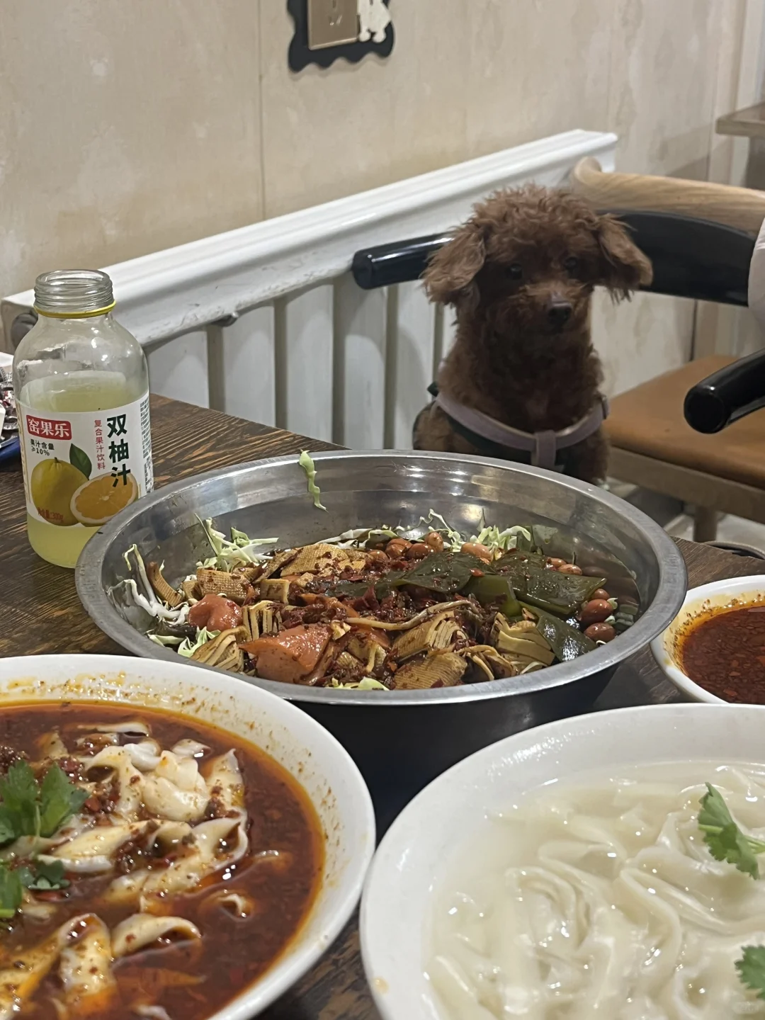 这鸡西刀削面咋这么好吃呢🍜
