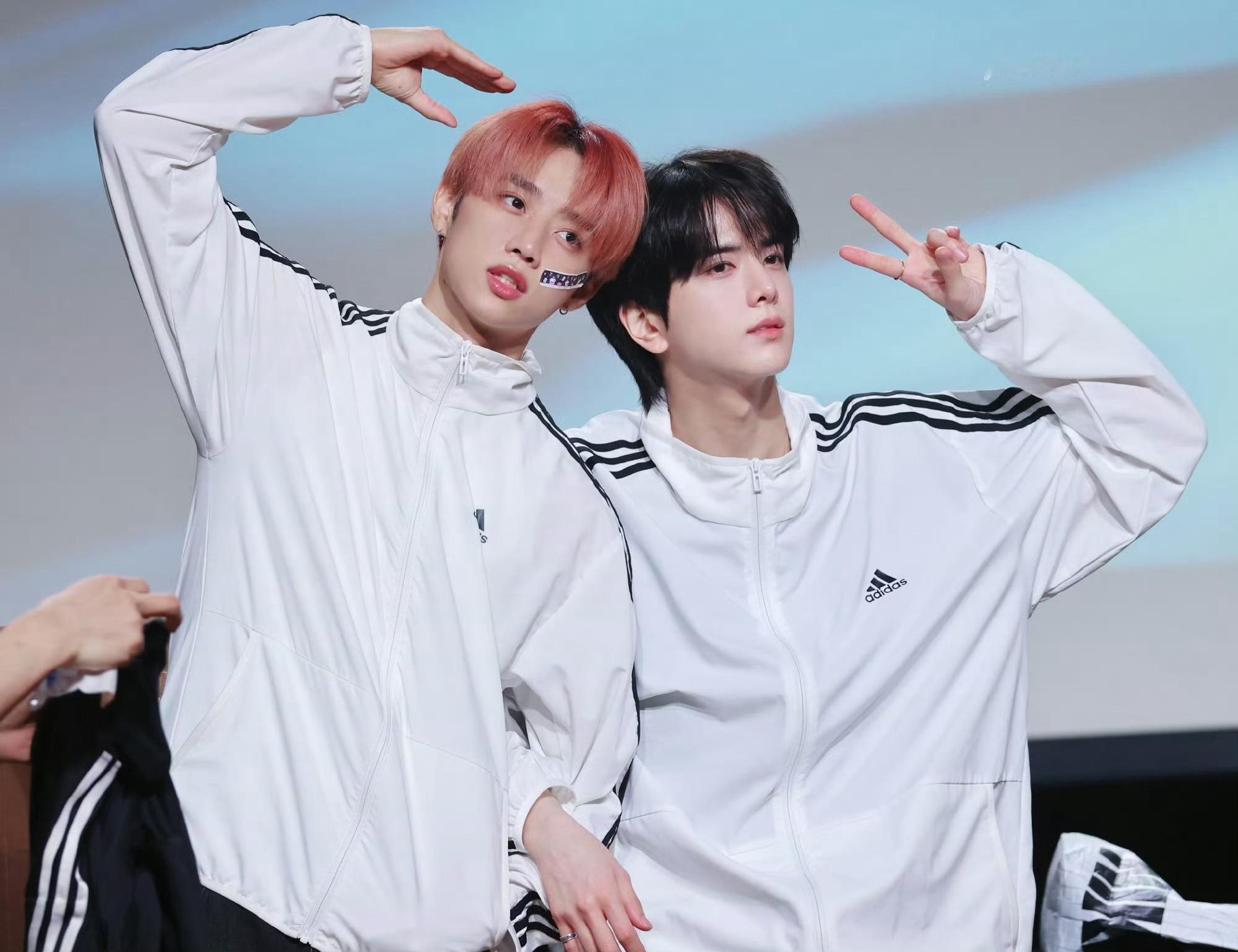 棒善最强哥狗 ​​​