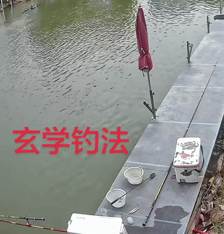 为什么说钓鱼的时候千万不要离开钓位上厕所？
因为大鱼总是会在你放松警惕不经意间突