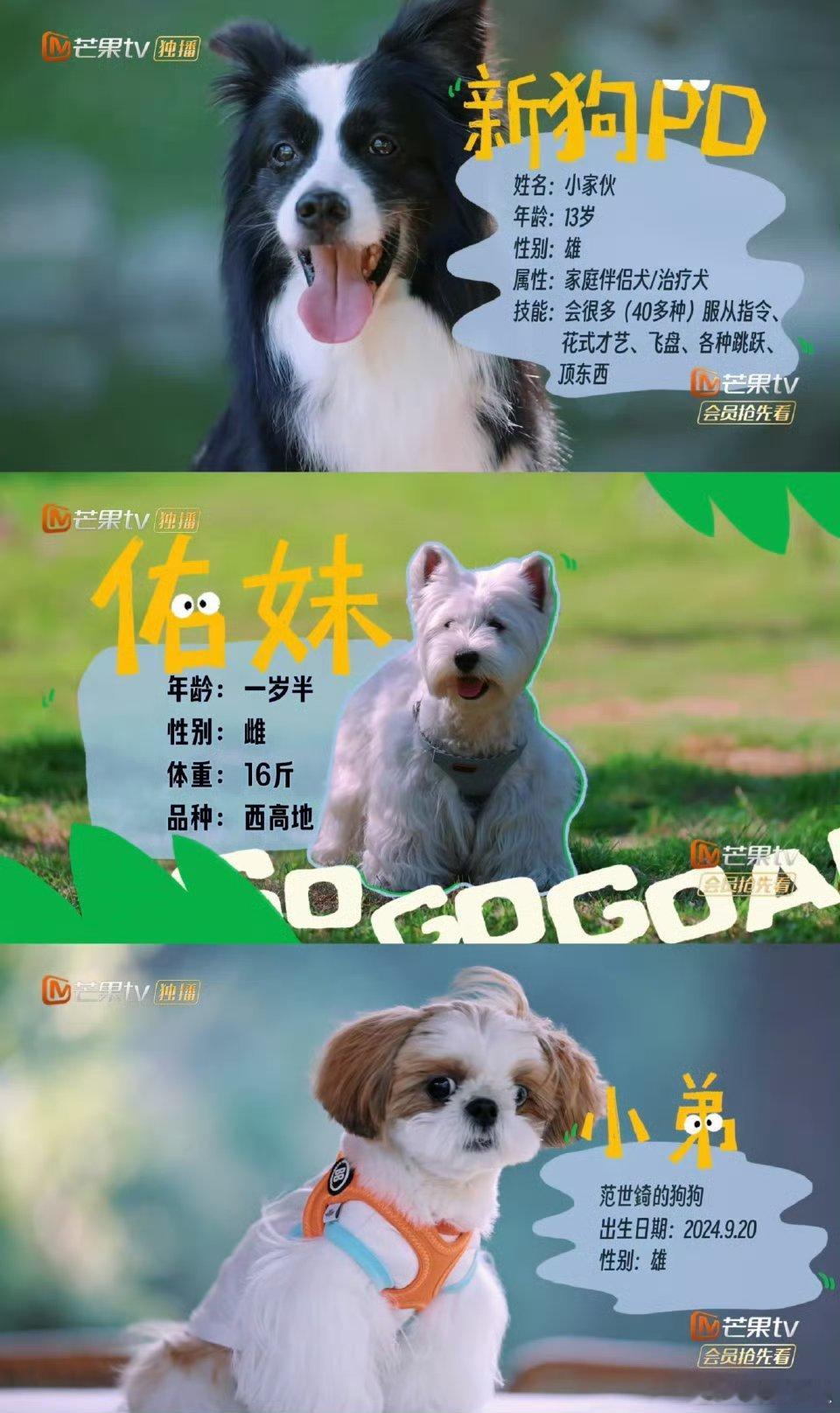 芒果综艺把萌宠和萌娃都凑齐了你就宠ta吧《你就宠ta吧》新一期太会了！范世錡带萌