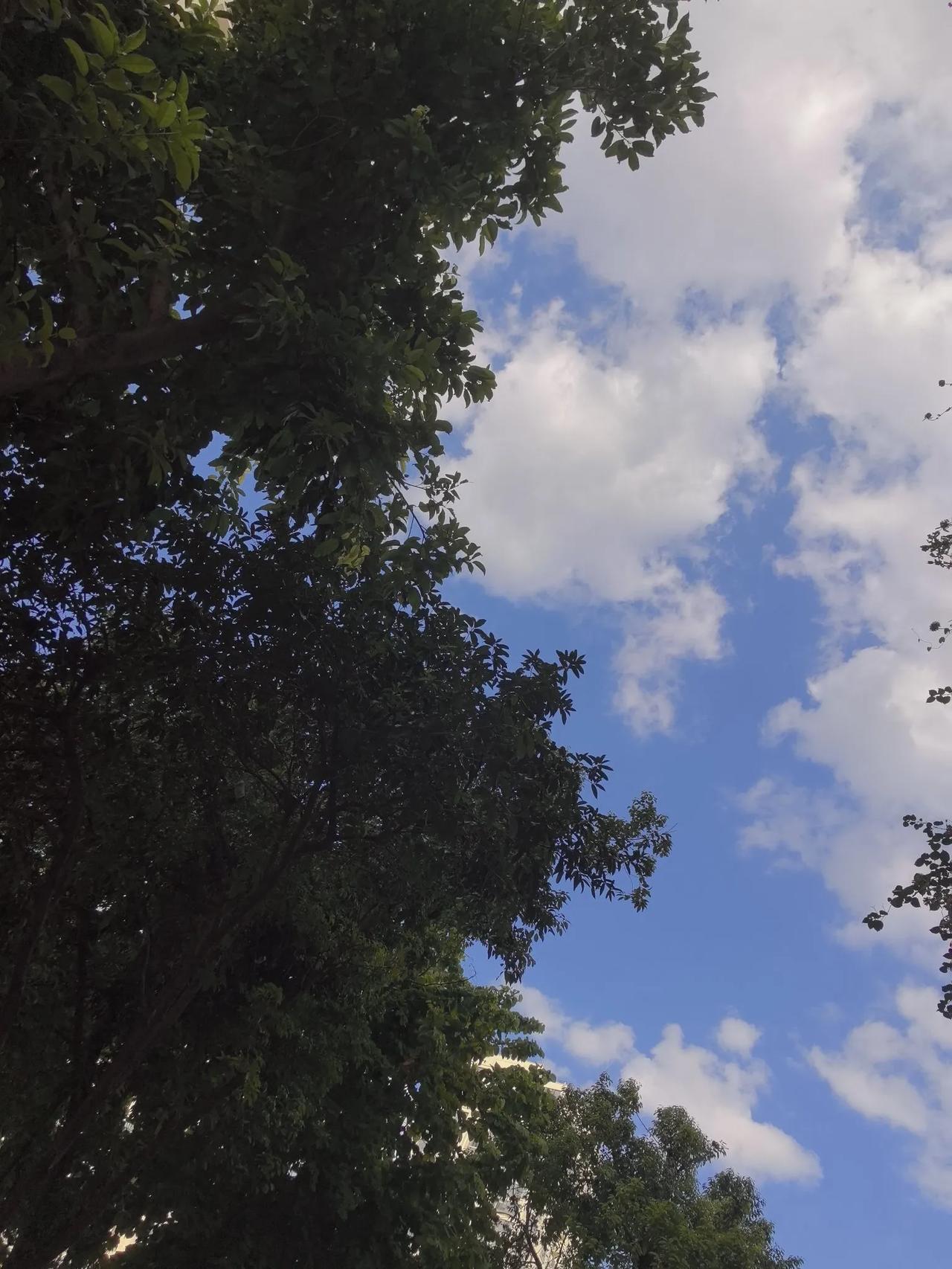 蓝蓝的天，白白的云
真好看