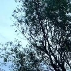 努力去做一个温暖的人,用真心对世界微笑,用眼泪提醒自己要做的更好,用快乐去迎接每