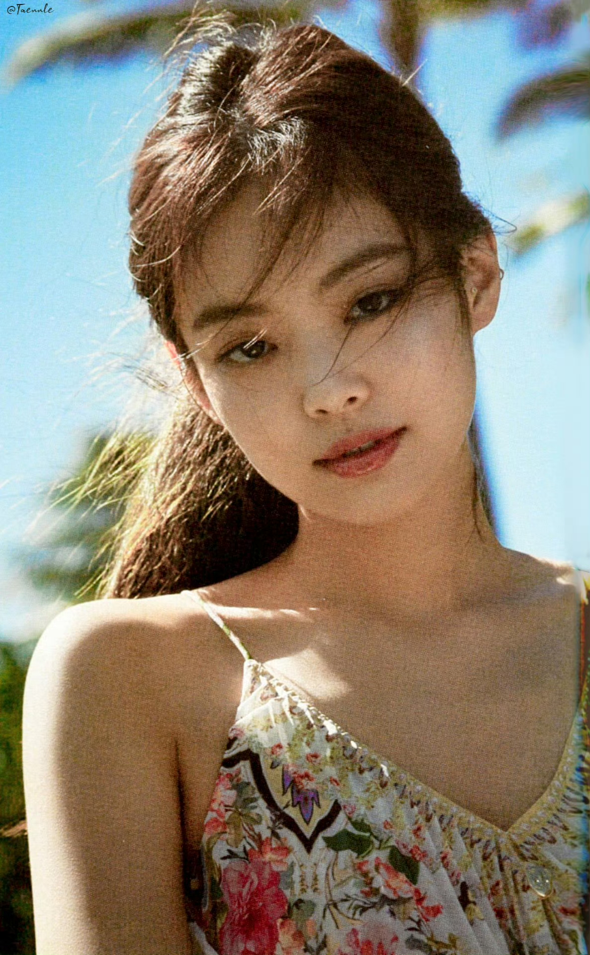无尽夏🏝️jennie 