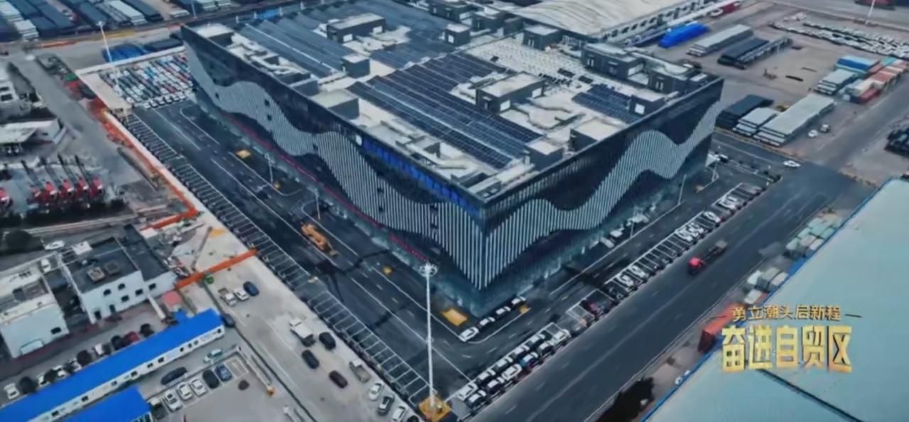 勇立潮头启新程，连云港自贸片区汽车物流尽显硬核实力！巨型货轮停靠码头，成排新车有