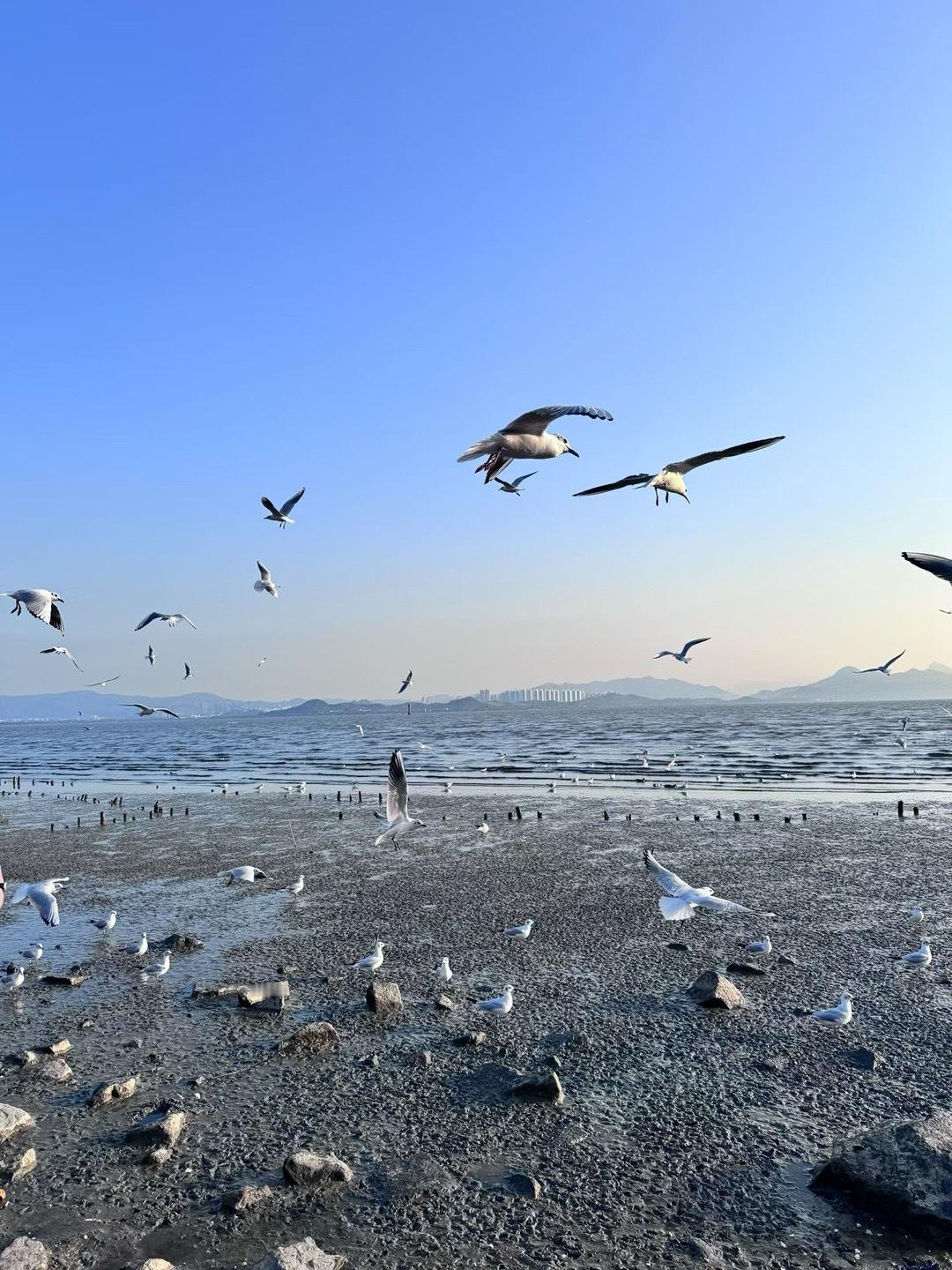 年年有今日岁岁有今朝新年快乐🎉 