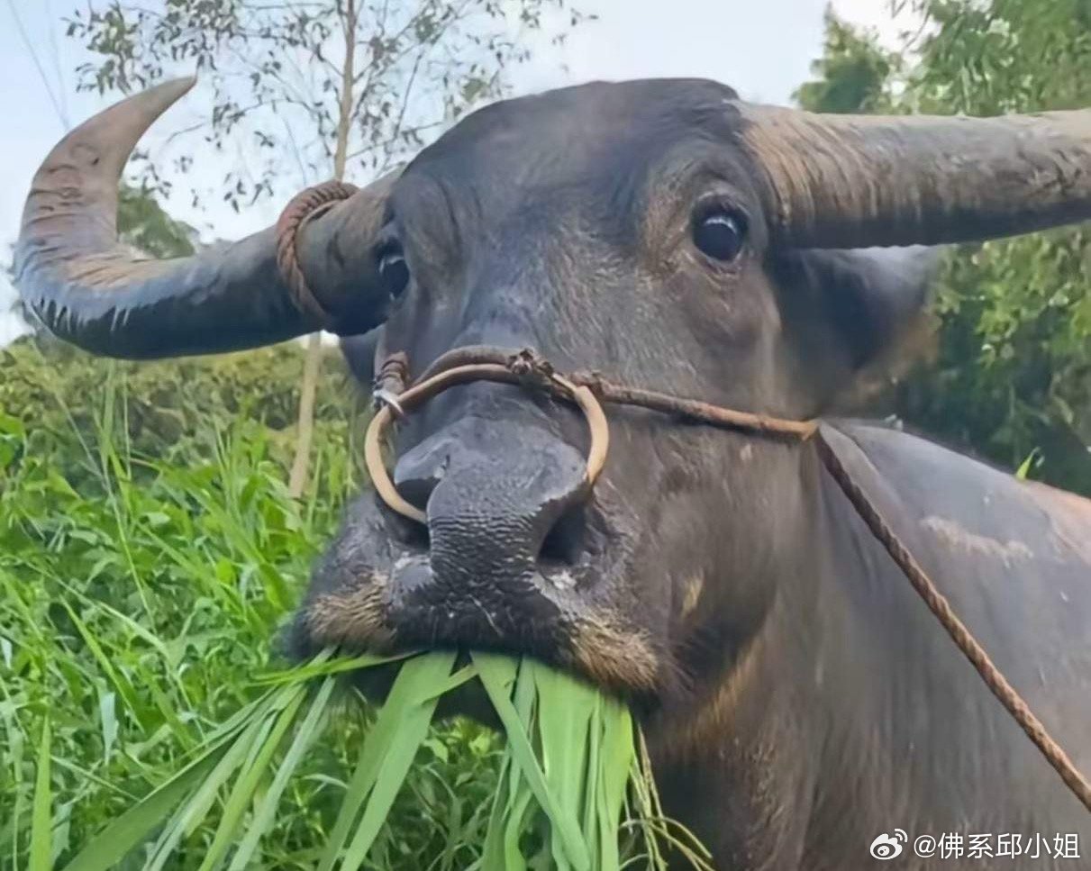 今天能否修复看关键区间1. 关键看3914点的得失：如果今天开盘或盘中回踩，不有