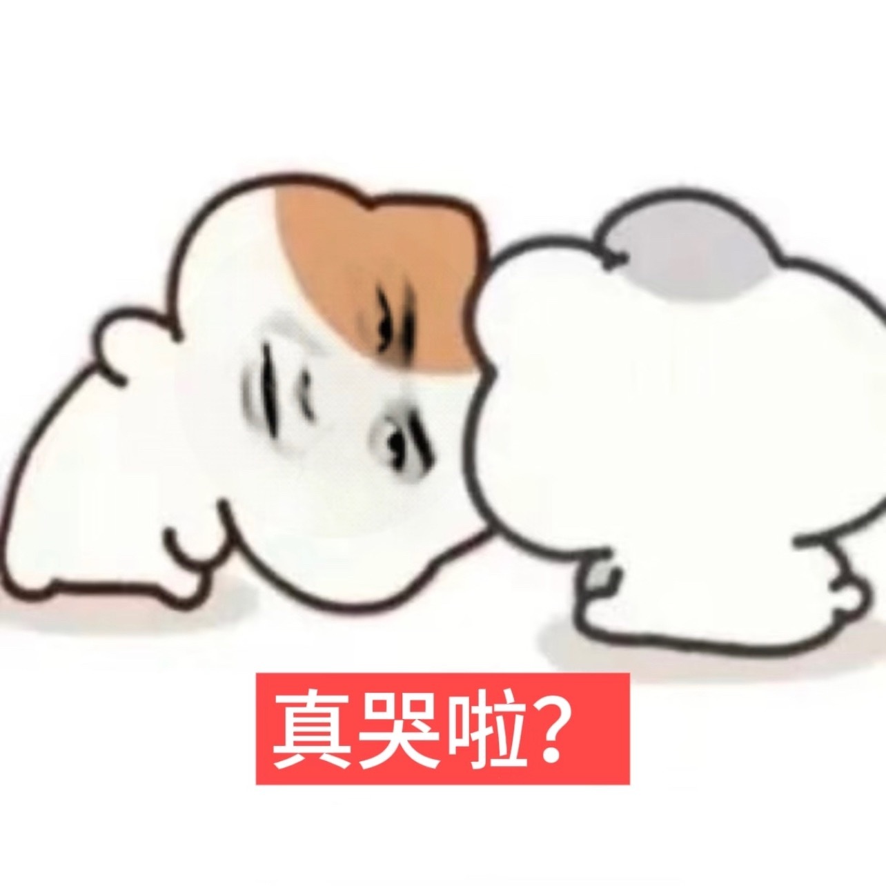 不知道狩谎和虾耙有什么关系？和地蛋又有什么关系？又在这里急得大哭！野生宣发又出来
