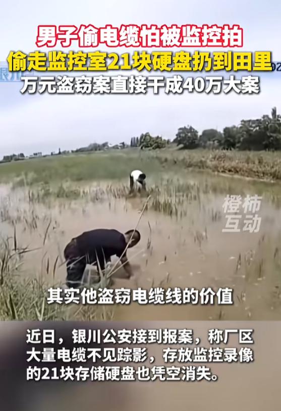 “这贼也太蠢了！”7月8日报道，宁夏银川，一男子在厂区干活手不干净，偷了厂区的电