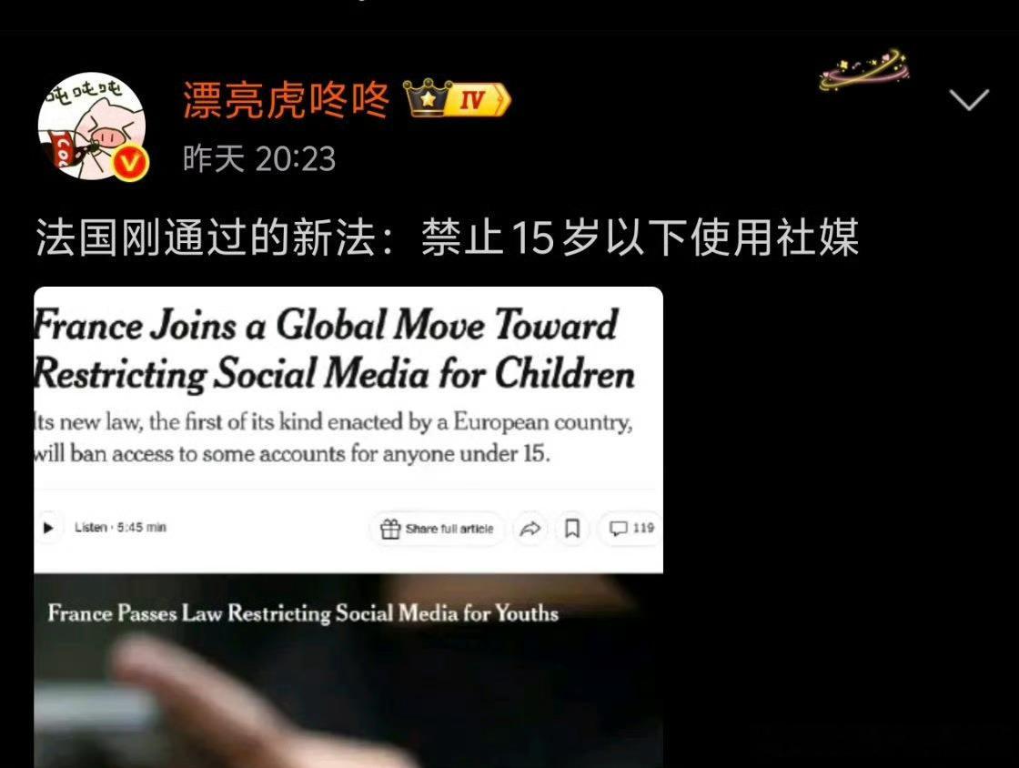 法国禁止15岁以下用社媒 中国要是实行这个制度，一半多的阿米销声匿迹 