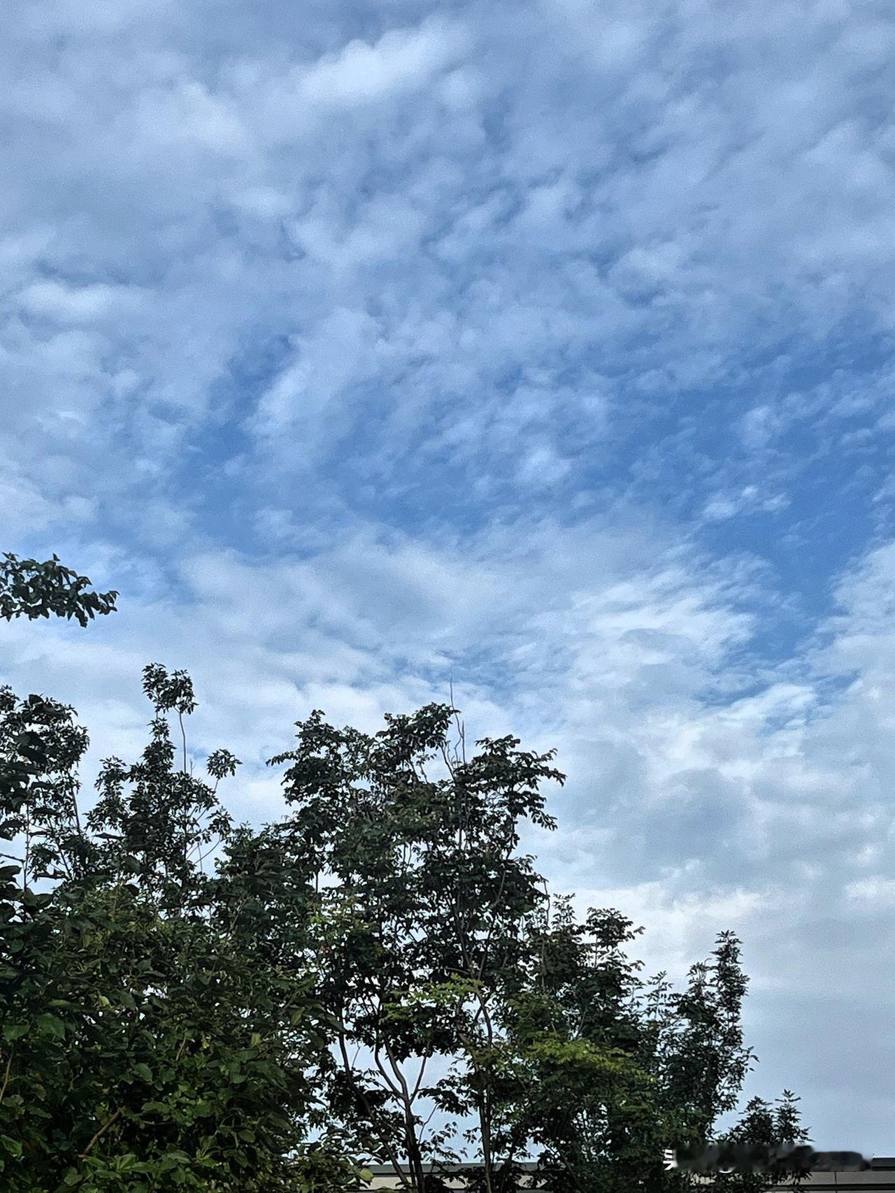 蓝天、白云、绿叶在这里呈现不同的美。