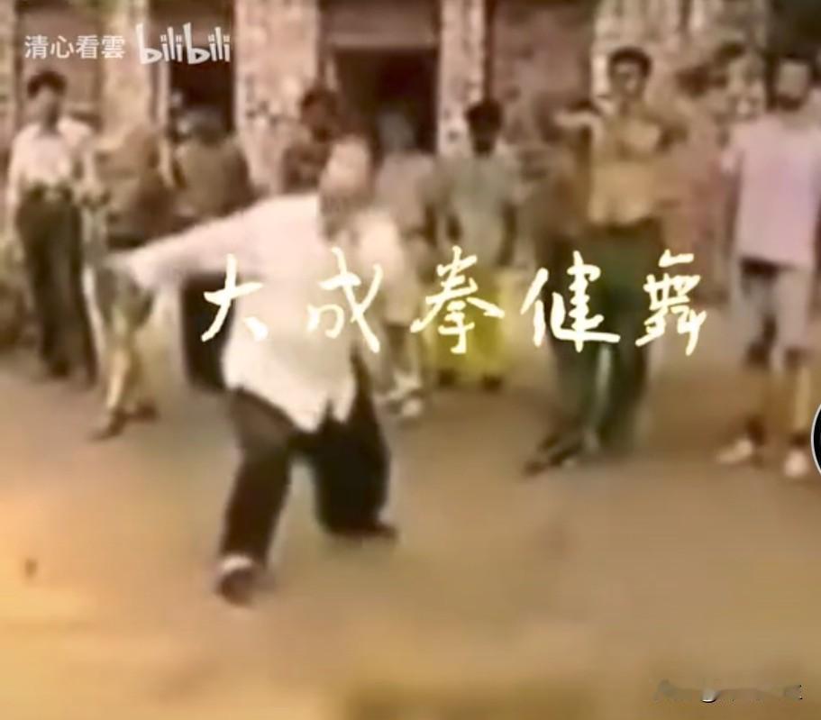 大成拳，是动中之动的平衡。
站都不稳，还动什么。动中有稳才能放开的打，在游击战中