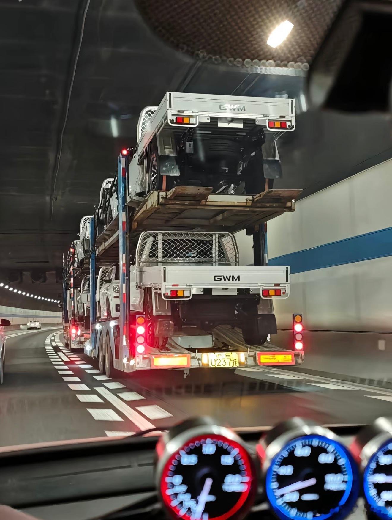 我估计这是澳洲农场主的新坐骑要到了！ 保总。这帅的有点过分奥！哈哈哈哈 