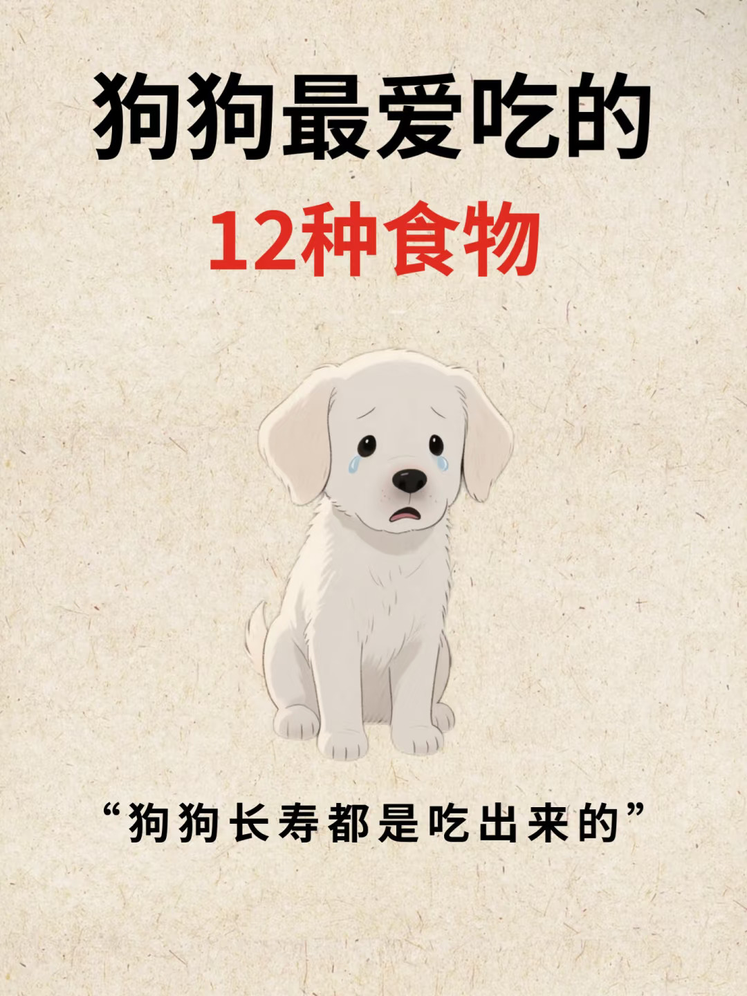 狗狗最喜欢吃的这几种食物！你知道哪些？！