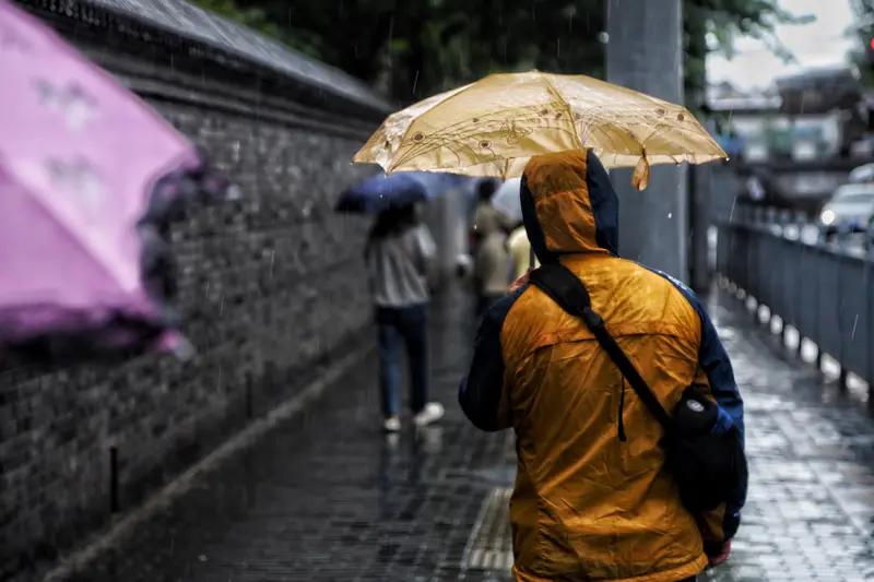 除了雨伞还有:雨靴、雨夜等等。[比心]//@头条评论精灵:这建议实用又贴心👍，