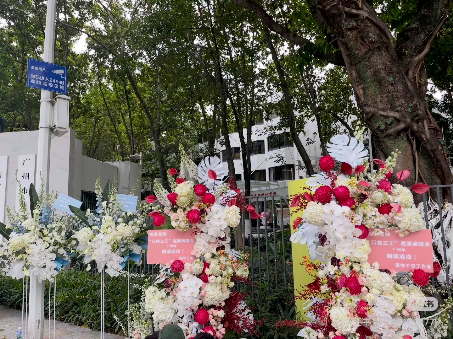 玛雅，我玺子哥好大方，看起来就贵贵的美美的 