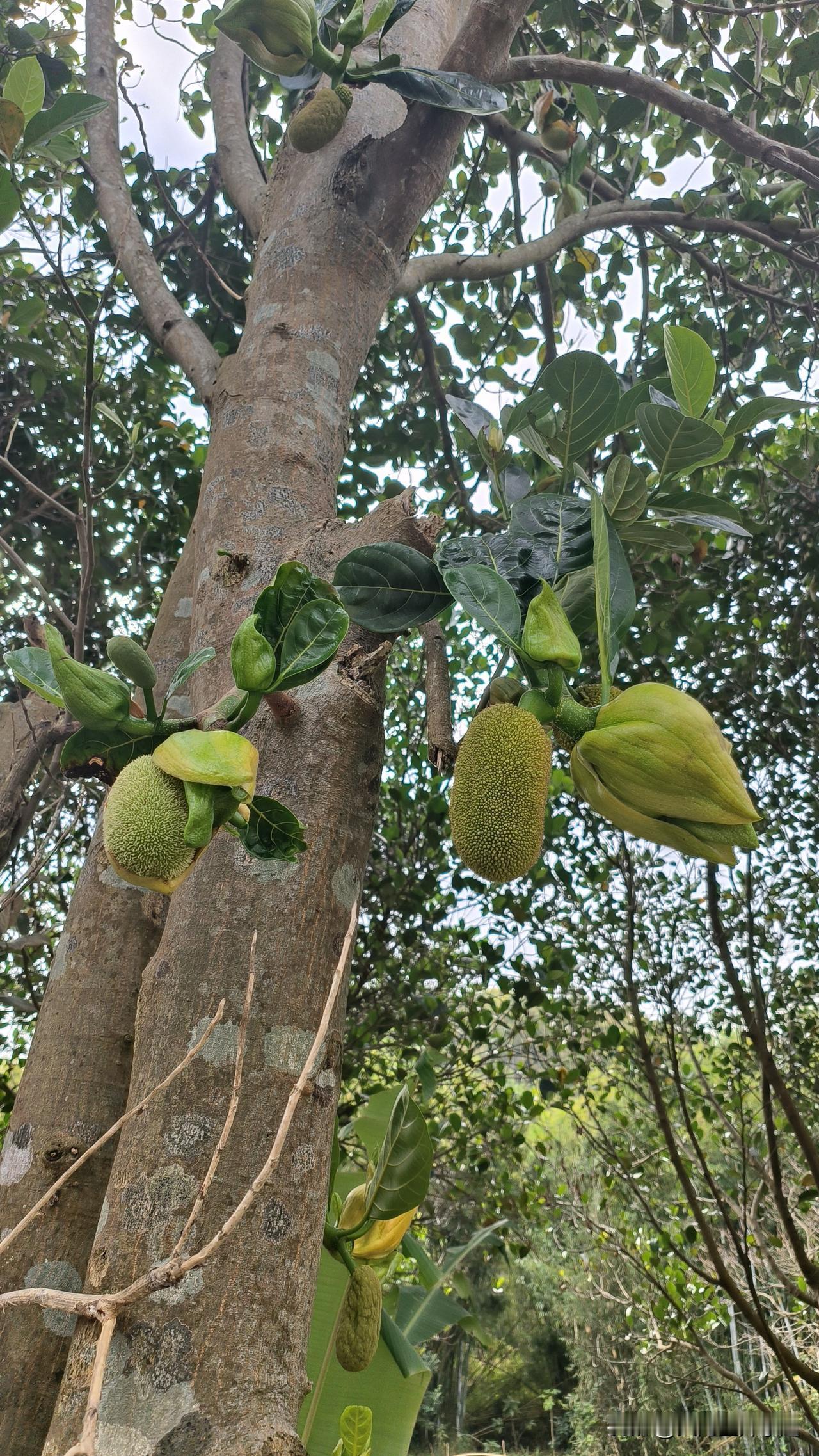 985的冷门专业和211的热门新工科专业，你会怎么选？在985生化环土建等冷门专