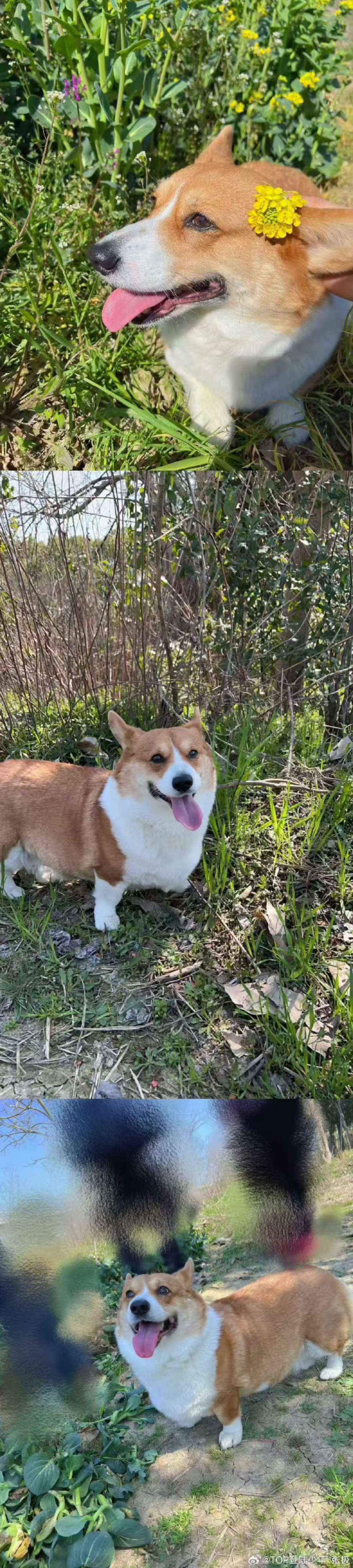 张极啵啵也粗来玩啦张极啵啵也粗来玩  啵姐依旧可爱 