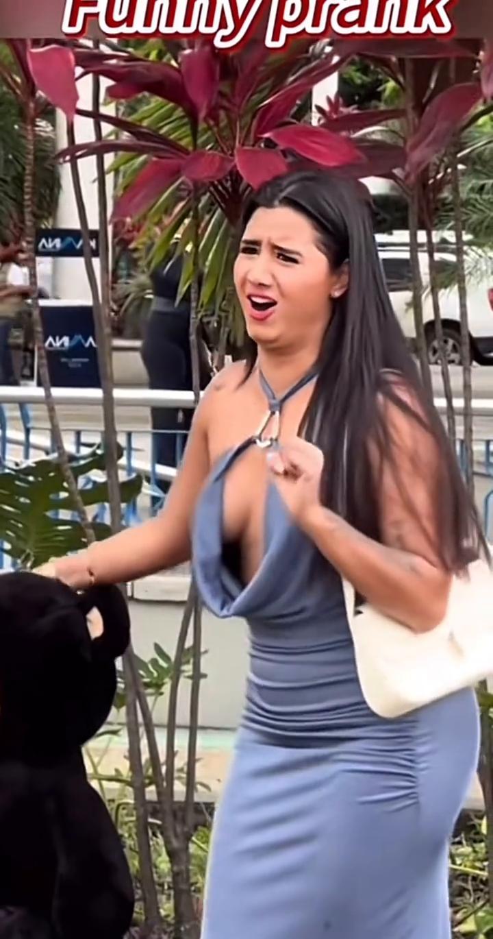 哈哈哈哈。