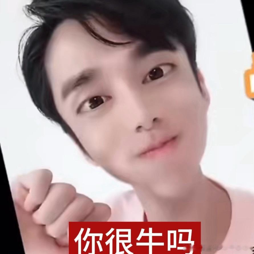 智齿我恨你 