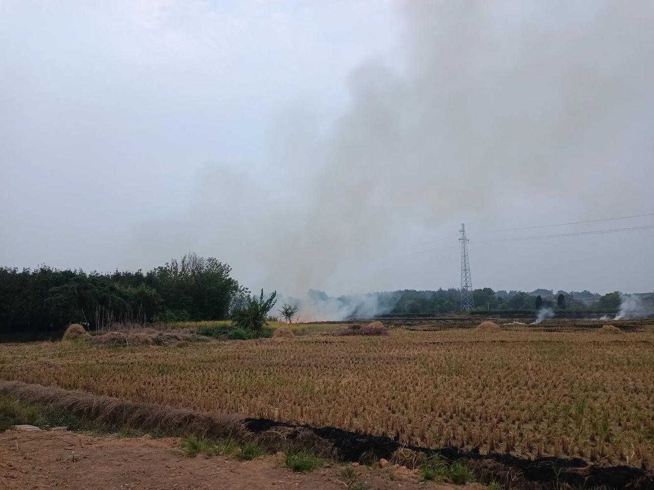 备耕
中稻已经收获完成，收拾水田，准备翻耕播种油菜。