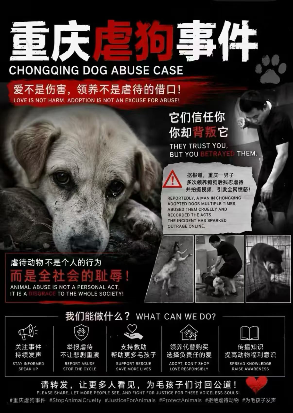 重庆山姆打包哥伪装领养虐杀动物作为养狗人，希望国家早日出台《反虐待动物法》，为无
