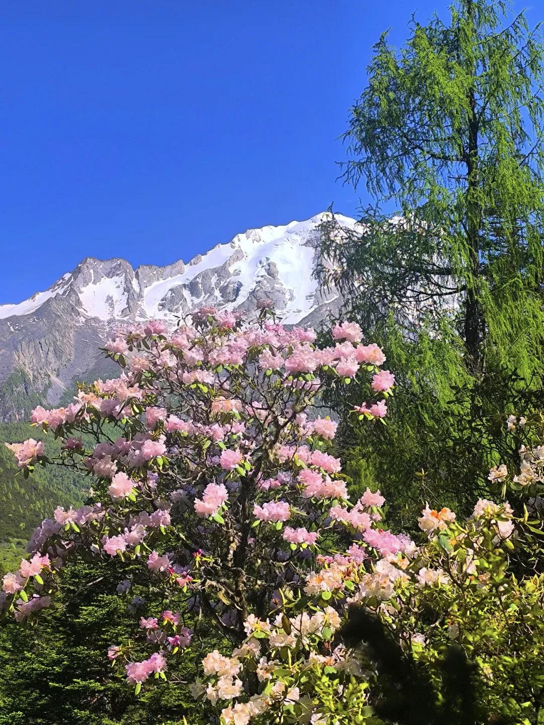 【年轻时总想远方，总想闯荡，等岁月沉淀下来才明白，那些走过的路、遇见的人、经历的