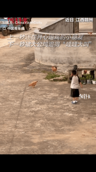 “万万没想到！”江西赣州，一小孩哥在院子里逗母鸡玩，一跺跺脚母鸡就被吓得跑开，正