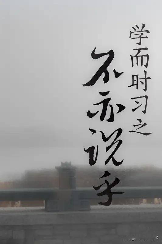烦恼很多，该怎么解决？

静字决，忘字决，损字决，

止住一切身心妄动，
忘掉一
