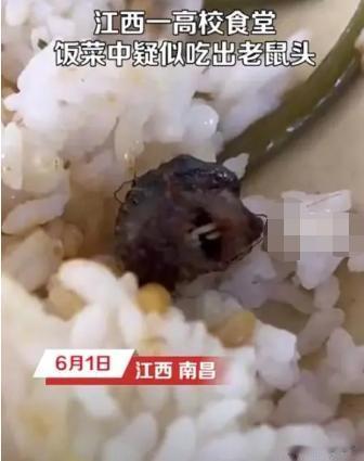 我就想知道，老鼠身子哪里去了！
江西高校鼠头鸭脖事件升级，动物专家正式出场，结果