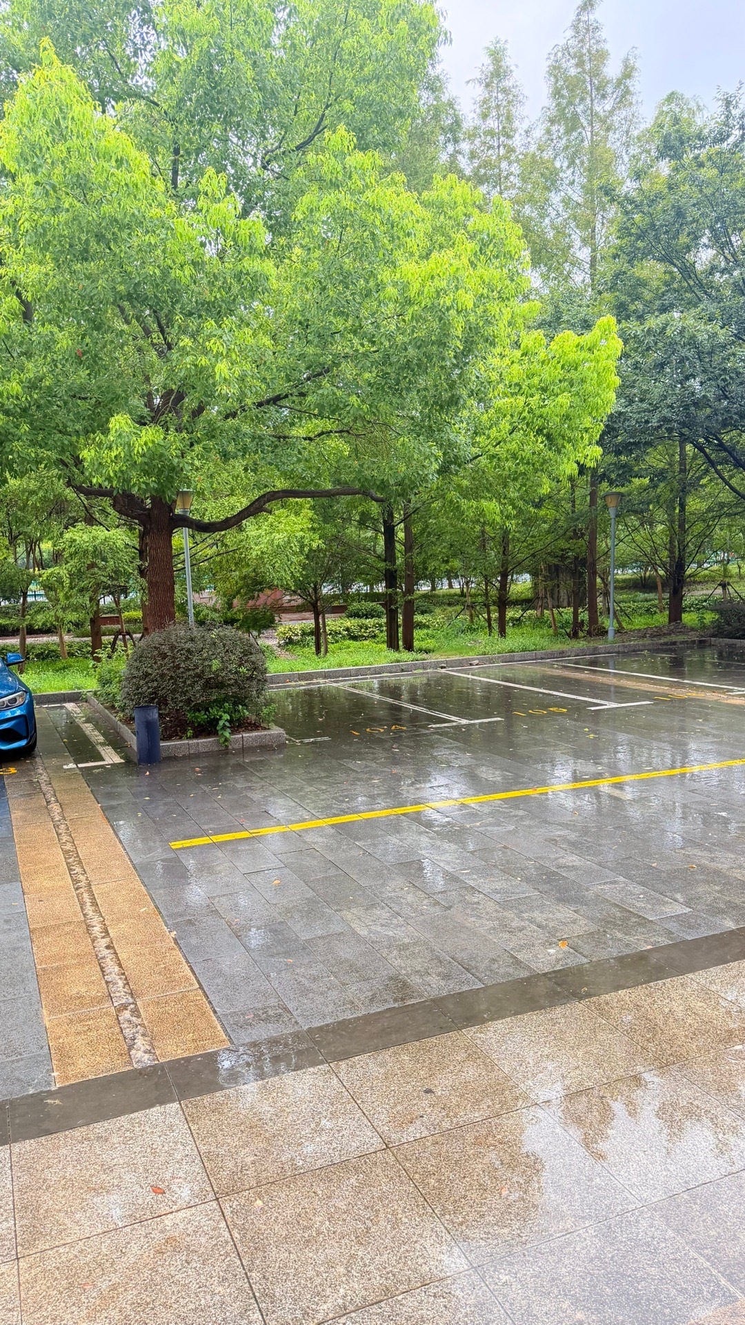 又下了又下了。 