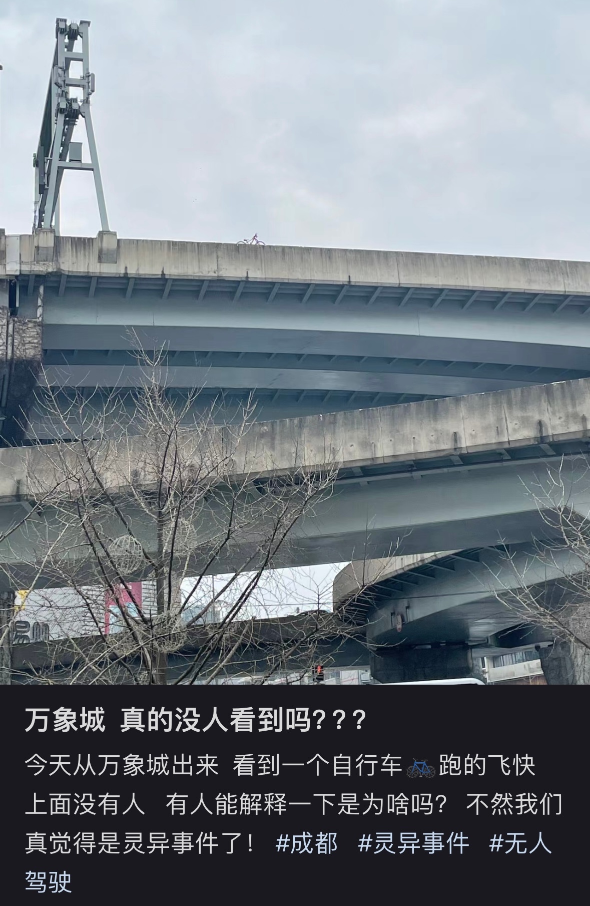 自行车跑得飞快好笑程度：100%作者搜了无人驾驶自行车好笑程度：100000% 