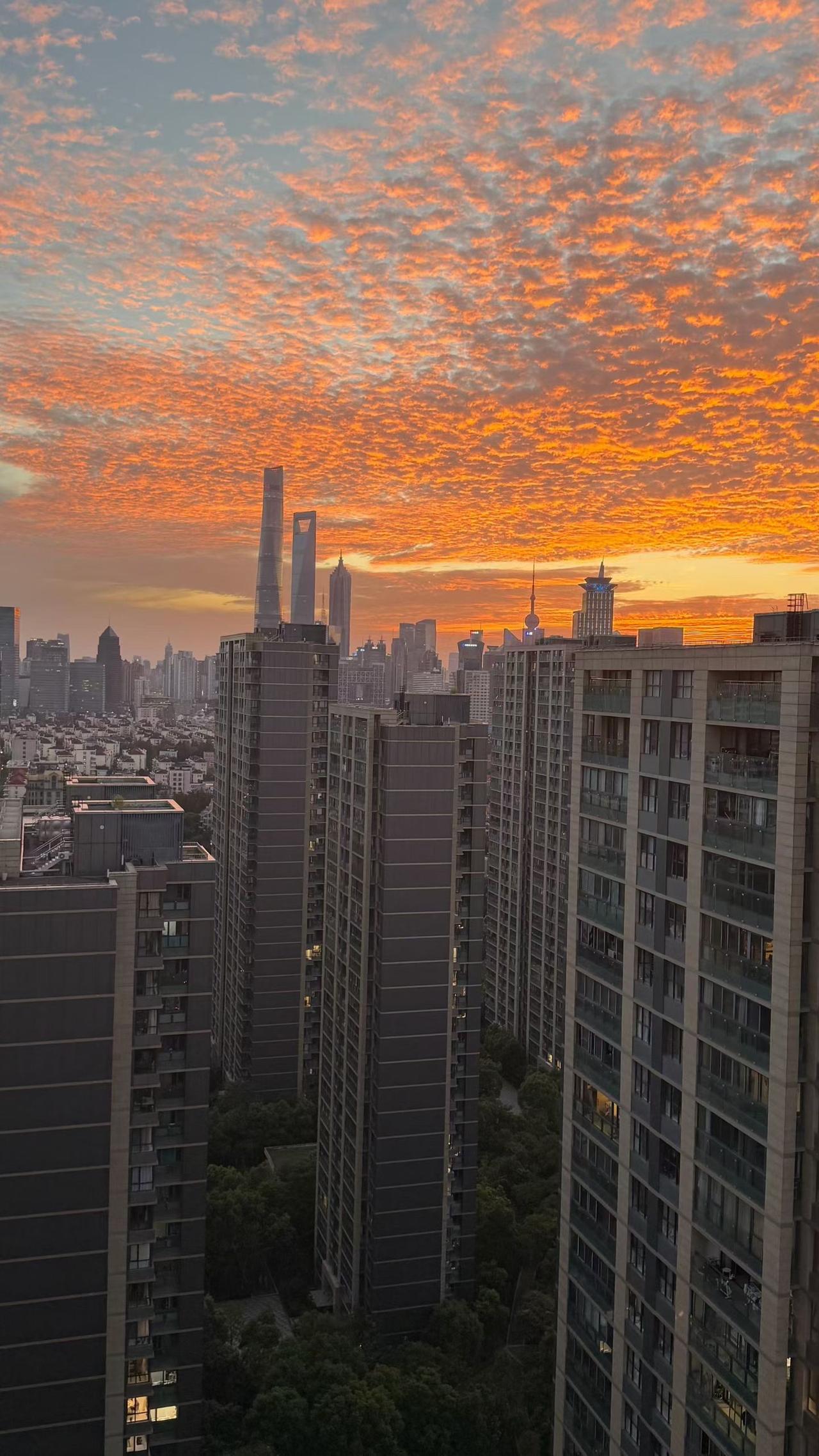 此时此刻上海的晚霞，真的太美了……上海城市晚霞 上海城市晚霞