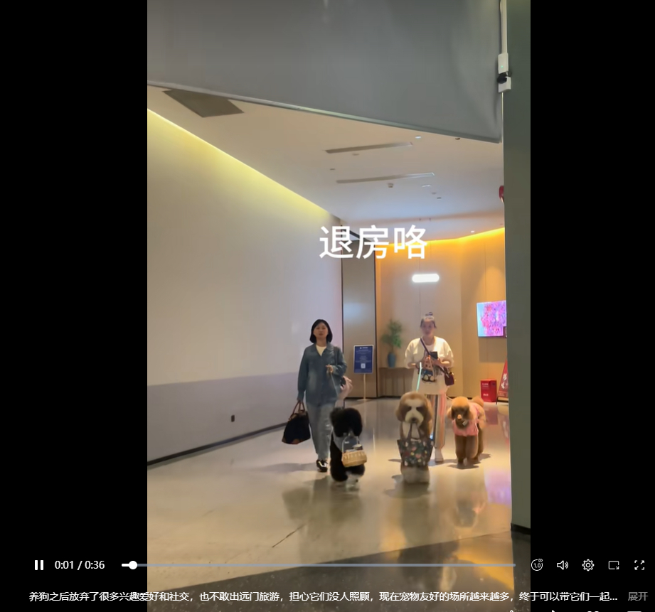 表面看狗粉们是心疼狗，实际上它们是包藏祸心，目的是让蠢货们同情狗，让他们呼吁让狗