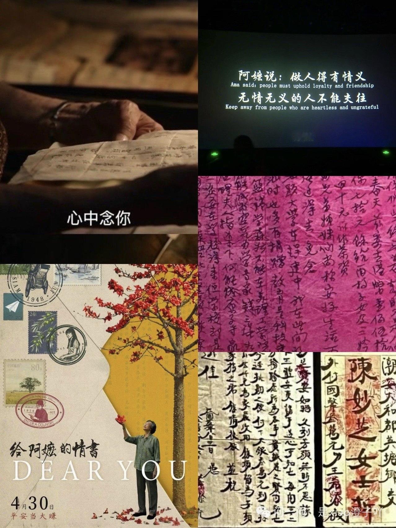 中华民族能历经艰辛而坚韧卓立，中华文明能饱经沧桑而绵延长青，正因有广阔而深厚的社