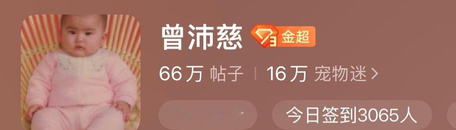 鹅不行了 