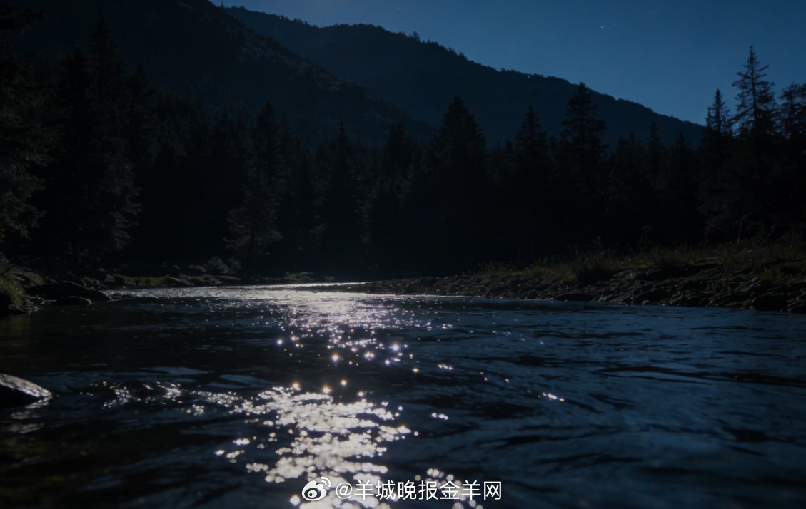 #晚安# 夜色笼罩山脚下的森林，小溪静静流淌，星光落在水面，晚风轻软，把疲惫都交