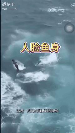 看了半天也没看出来
这是啥东西？[what]