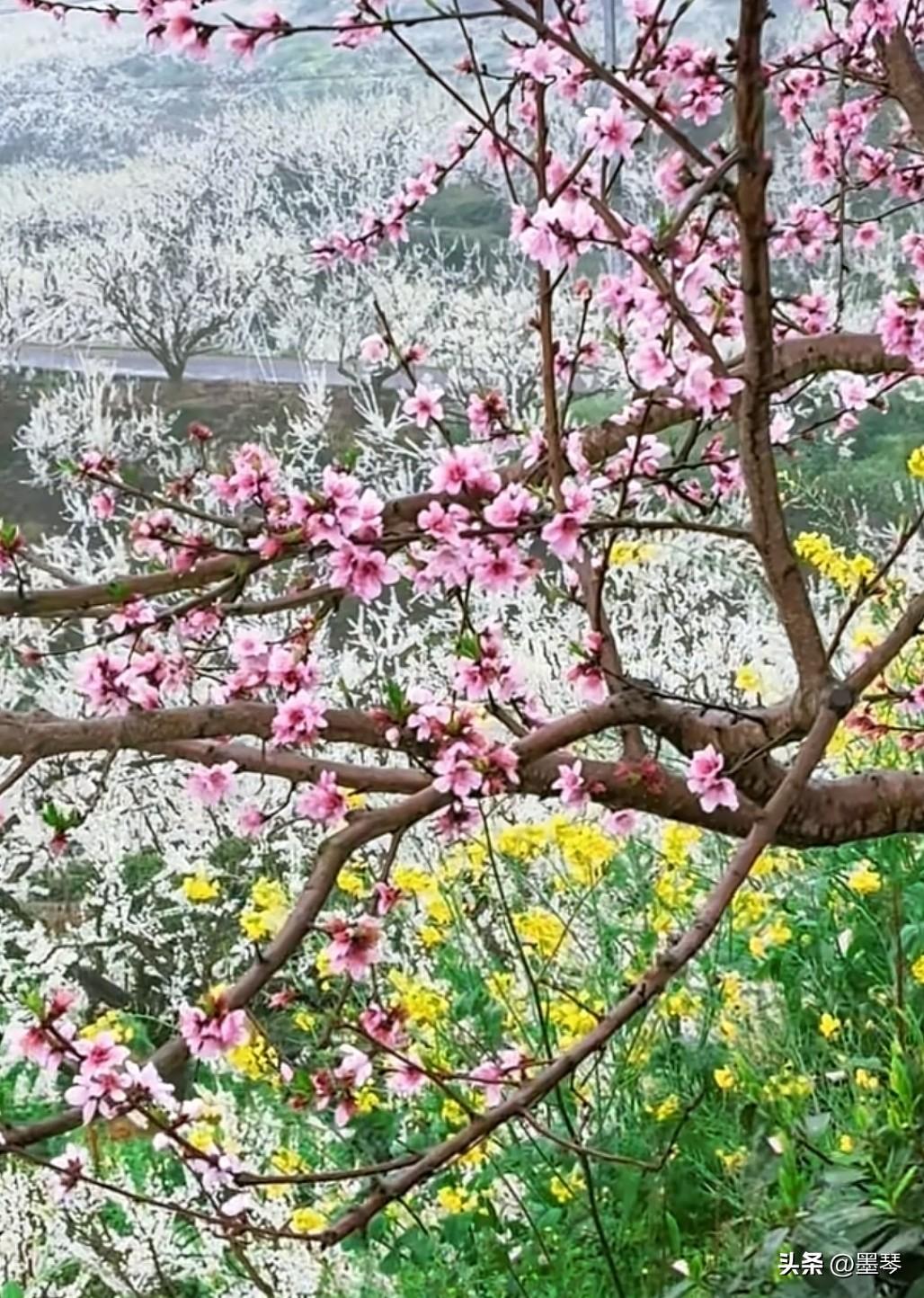 不要彩礼的婚姻，真的能换来尊重吗？[思考]

自从看了有人大代表提出抑制彩礼的倡