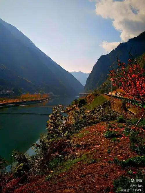 下联：近观两岸花，

（题图来自网络）