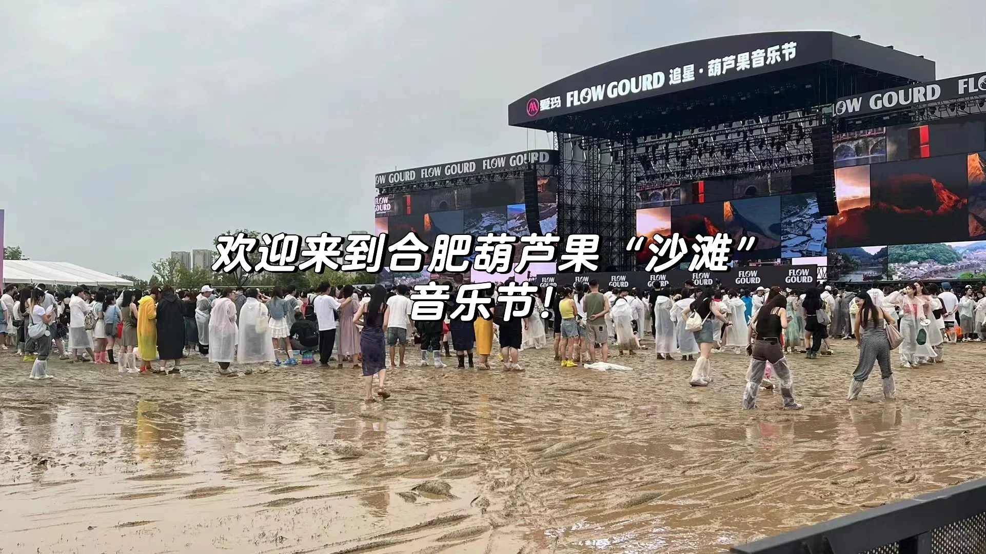 欢迎来到合肥葫芦果“沙滩”音乐节！🌊🎵