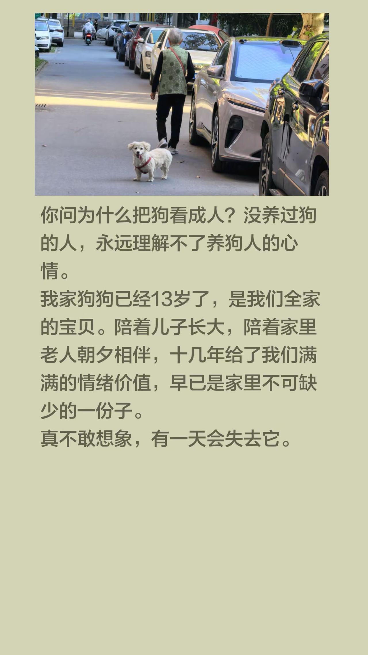 我回复了@还可以 的评论：你问为什么把狗看成人？没养过狗的人，永远理解不了养狗人