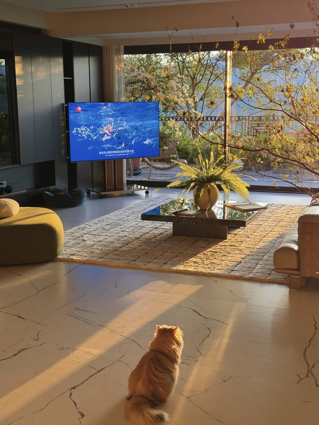 讲真的，我家不接待剧组取景🏡
