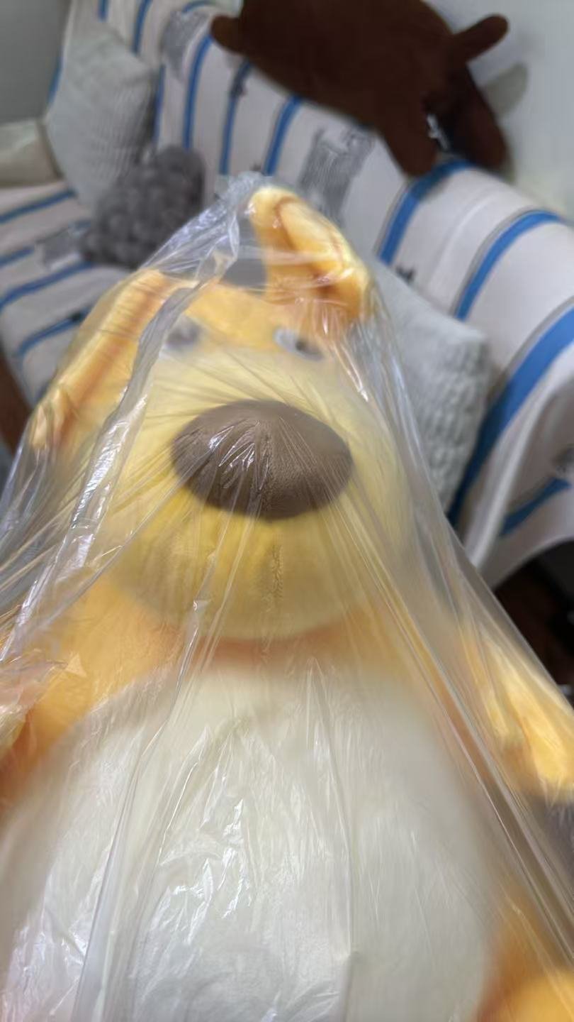 谁懂一回家就看到这么个玩意的救赎感？我看你的胆子真是肥嘟嘟的[怒] ​​​