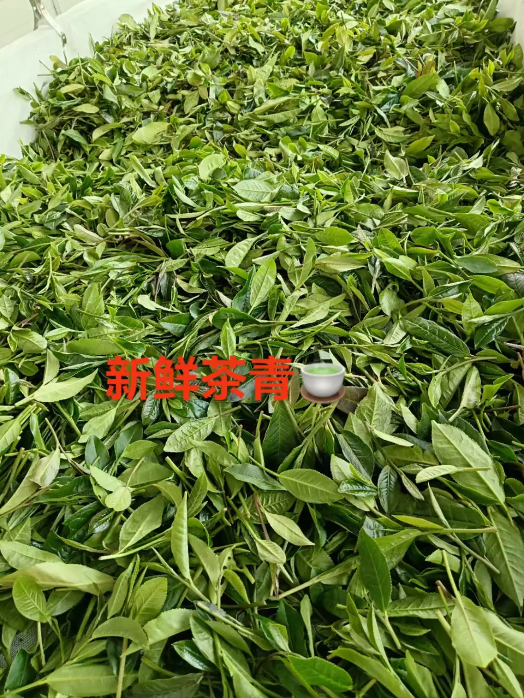 他妈的，这句话很真实。要靠自己独立赚钱，家务做的再好，孩子带的再好，你...