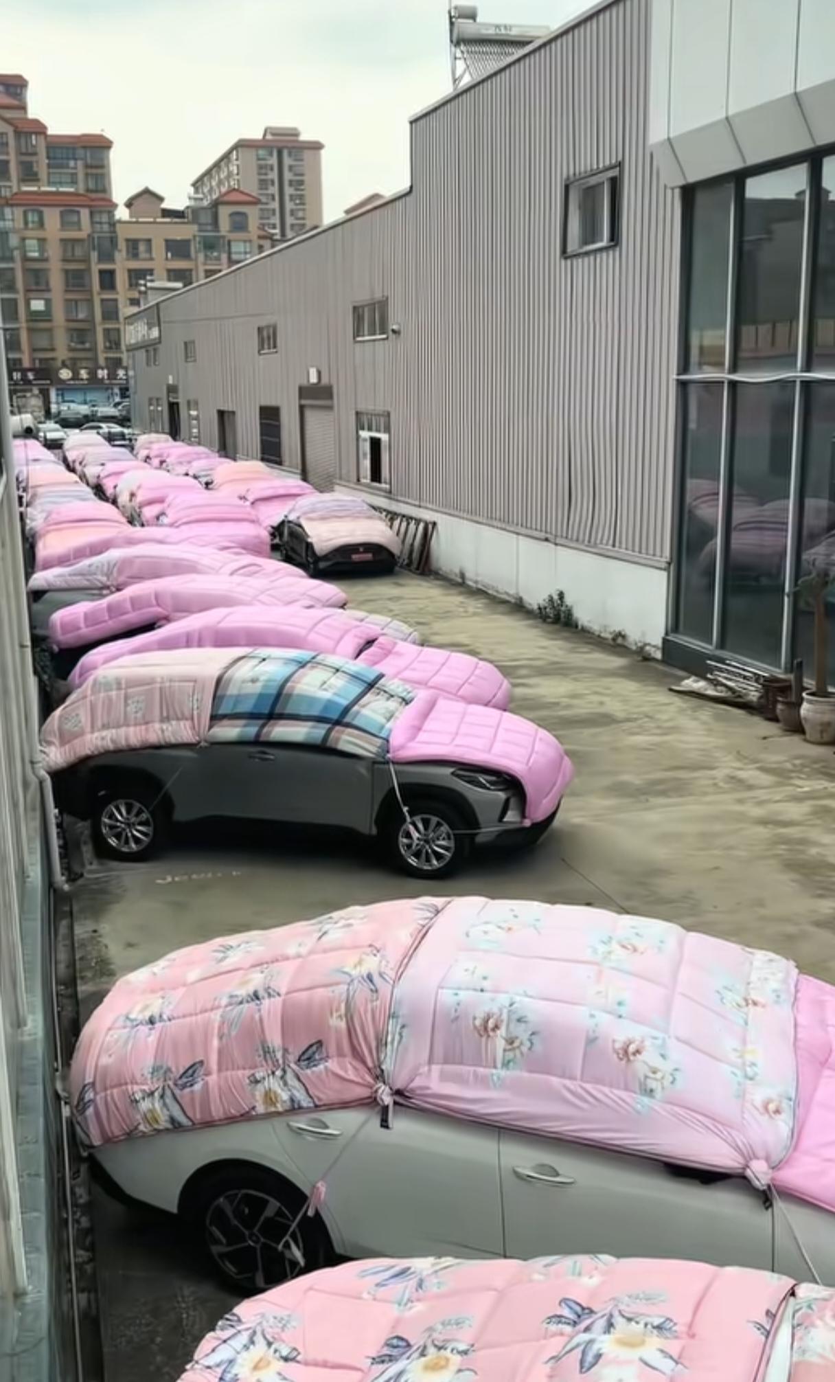 曲靖车商连夜买400条棉被，三层盖车抗冰雹

半夜往车上盖被子，这画面谁能想到会