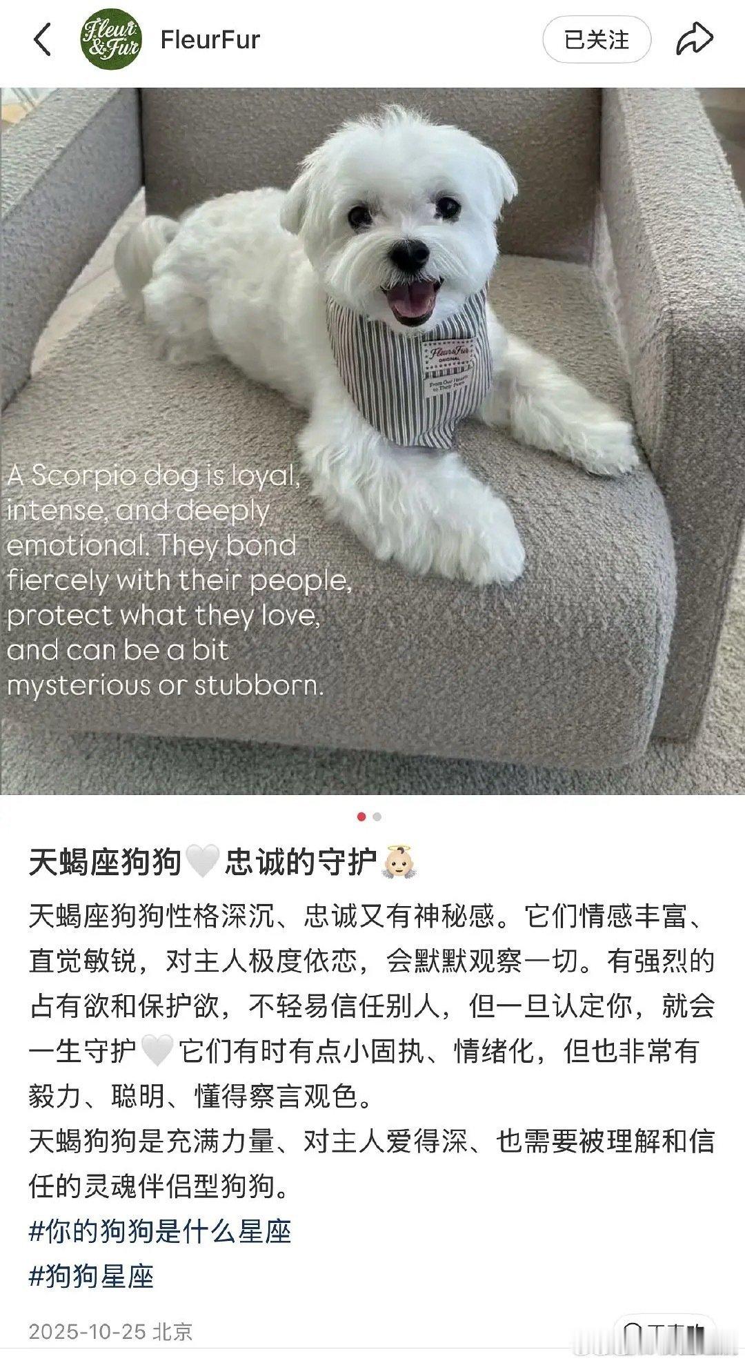 疑似綦美合潮牌账号曝綦美合小号 曝綦美合小号，真的假的 