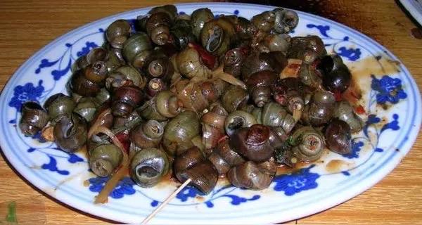 南宁嘬螺正当时！6元一斤解锁春日顶流鲜

谁懂啊！南宁人的春天，是从一口嘬螺开始