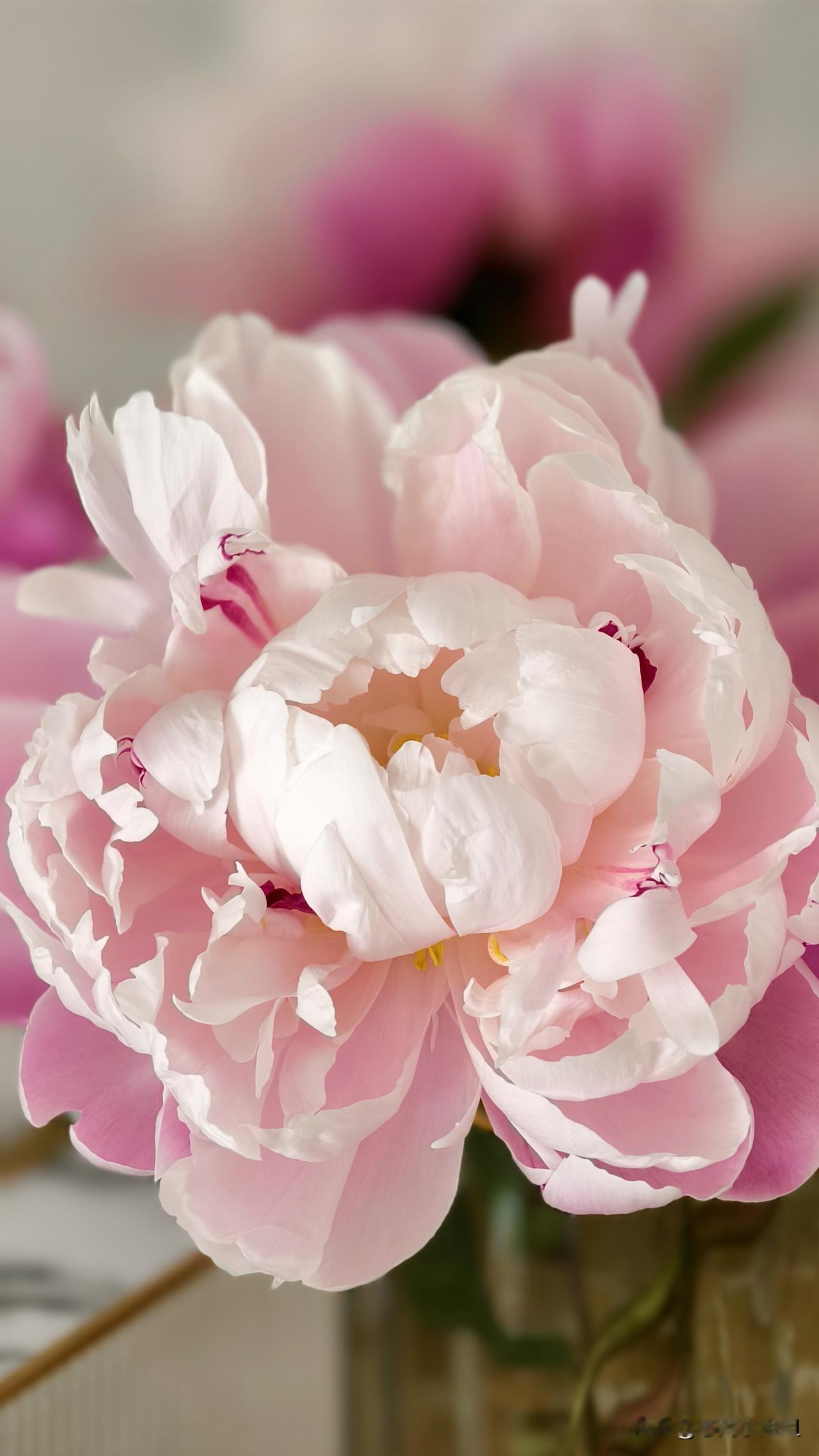 如果画花画的非常逼真，你会说像真的似的。
究竟画的花美，还是真的花美？
我觉得都